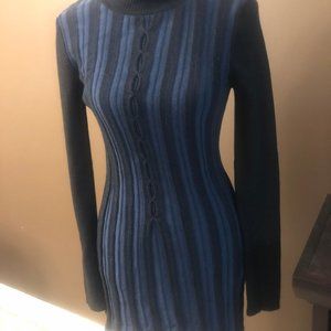Blue and Black Turtle neck Tunic/Sweater Dress